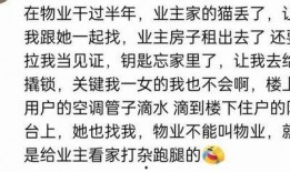娱乐吃瓜群文案搞笑图片,搞笑图片背后的娱乐盛宴