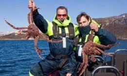 记者爆料帝王蟹视频大全,探秘海洋珍馐的鲜美瞬间